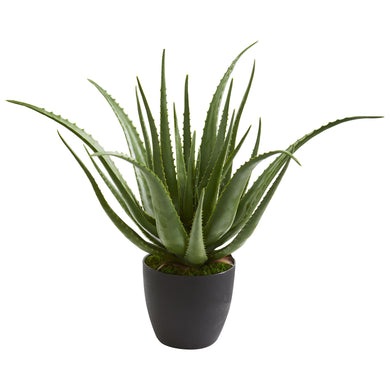 Aloe Artificial Plant