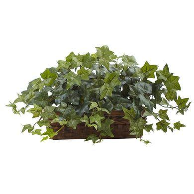 Puff Ivy w/Ledge Basket