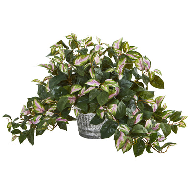 Hoya Artificial Plant in Vintage Hanging Metal Planter