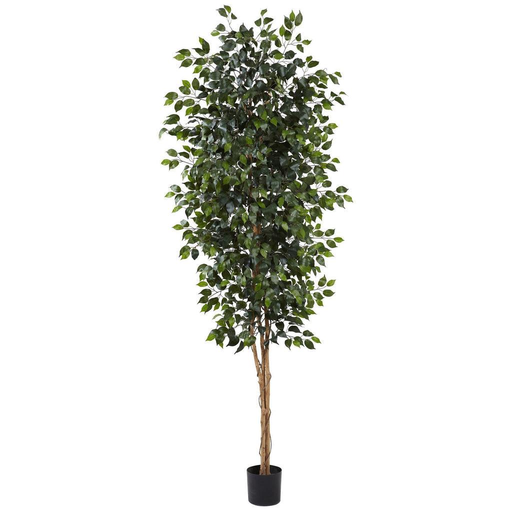 8'' Ficus Tree w/1512 Lvs