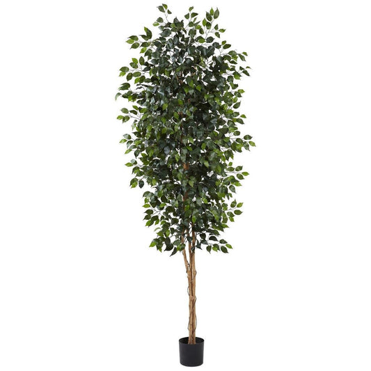 8'' Ficus Tree w/1512 Lvs