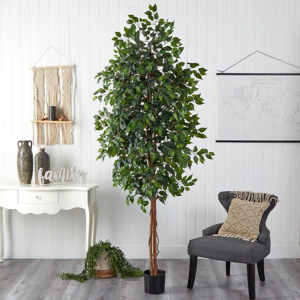 8'' Ficus Tree w/1512 Lvs