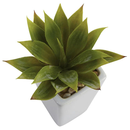 Mini Agave w/ Planter (Set of 3) White