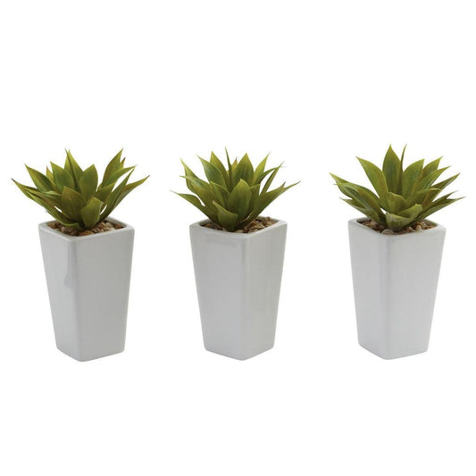 Mini Agave w/ Planter (Set of 3) White