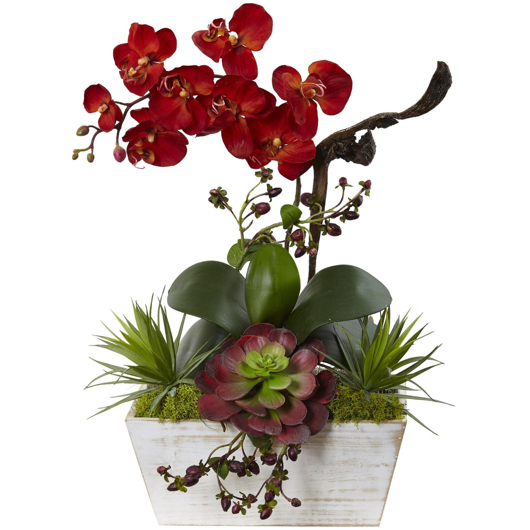 Seasonal Orchid & Succulent Garden w/White Wash Planter - zzhomelifestyle