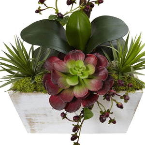 Seasonal Orchid & Succulent Garden w/White Wash Planter - zzhomelifestyle
