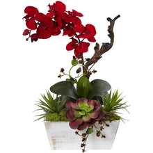 Load image into Gallery viewer, Seasonal Orchid &amp; Succulent Garden w/White Wash Planter - zzhomelifestyle