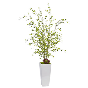 Night Willow in White Planter - zzhomelifestyle