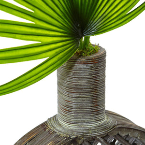 Fan Palm in Open Weave Vase - zzhomelifestyle