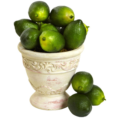 Faux Limes (Set of 12) - zzhomelifestyle