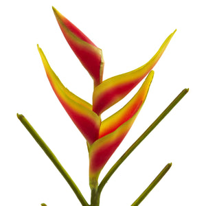 26'' Heliconia Artificial Flower (Set of 4) - zzhomelifestyle