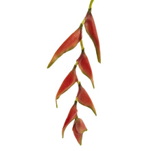 Load image into Gallery viewer, 31&#39;&#39; Hanging Heliconia Artificial Flower (Set of 4) - zzhomelifestyle