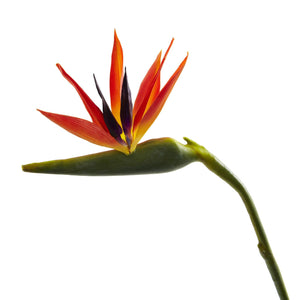 38'' Large Bird of Paradise Artificial Flower (Set of 4) - zzhomelifestyle