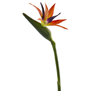 35'' Bird of Paradise Artificial Flower (Set of 4) - zzhomelifestyle