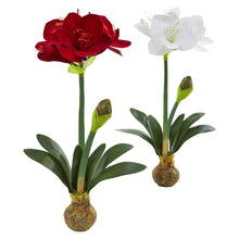 Load image into Gallery viewer, 25&quot; Amaryllis Artificial Flower (Set of 2) - zzhomelifestyle