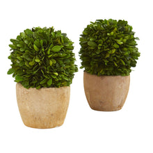 Load image into Gallery viewer, 7&quot; Boxwood Ball Preserved Plant in Decorative Planter (Set of 2) - zzhomelifestyle