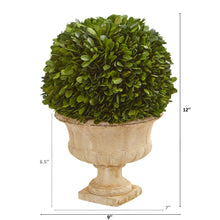 Load image into Gallery viewer, 12&quot; Boxwood Topiary Ball Preserved Plant in Decorative Urn - zzhomelifestyle