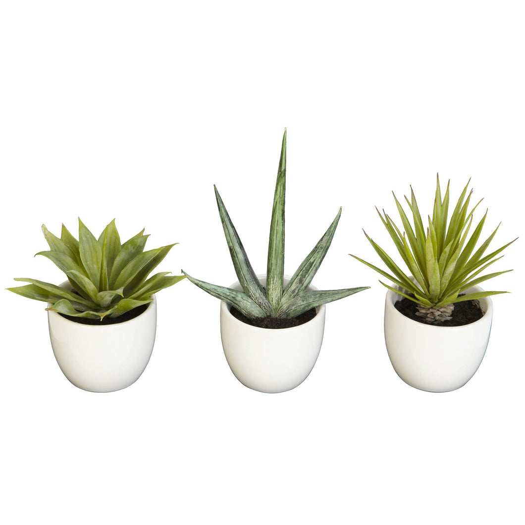 Southwest Collection (Set of 3) - zzhomelifestyle