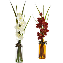 Load image into Gallery viewer, Phalaenopsis w/Colored Jar (Set of 2) - zzhomelifestyle