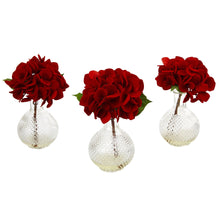 Load image into Gallery viewer, Red Hydrangea w/Glass Vase (Set of 3) - zzhomelifestyle
