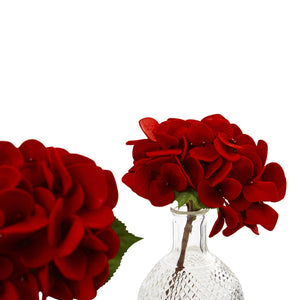 Red Hydrangea w/Glass Vase (Set of 3) - zzhomelifestyle