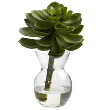 Load image into Gallery viewer, Succulent Arrangements (Set of 3) - zzhomelifestyle