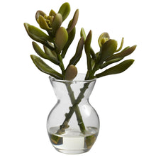 Load image into Gallery viewer, Succulent Arrangements (Set of 3) - zzhomelifestyle