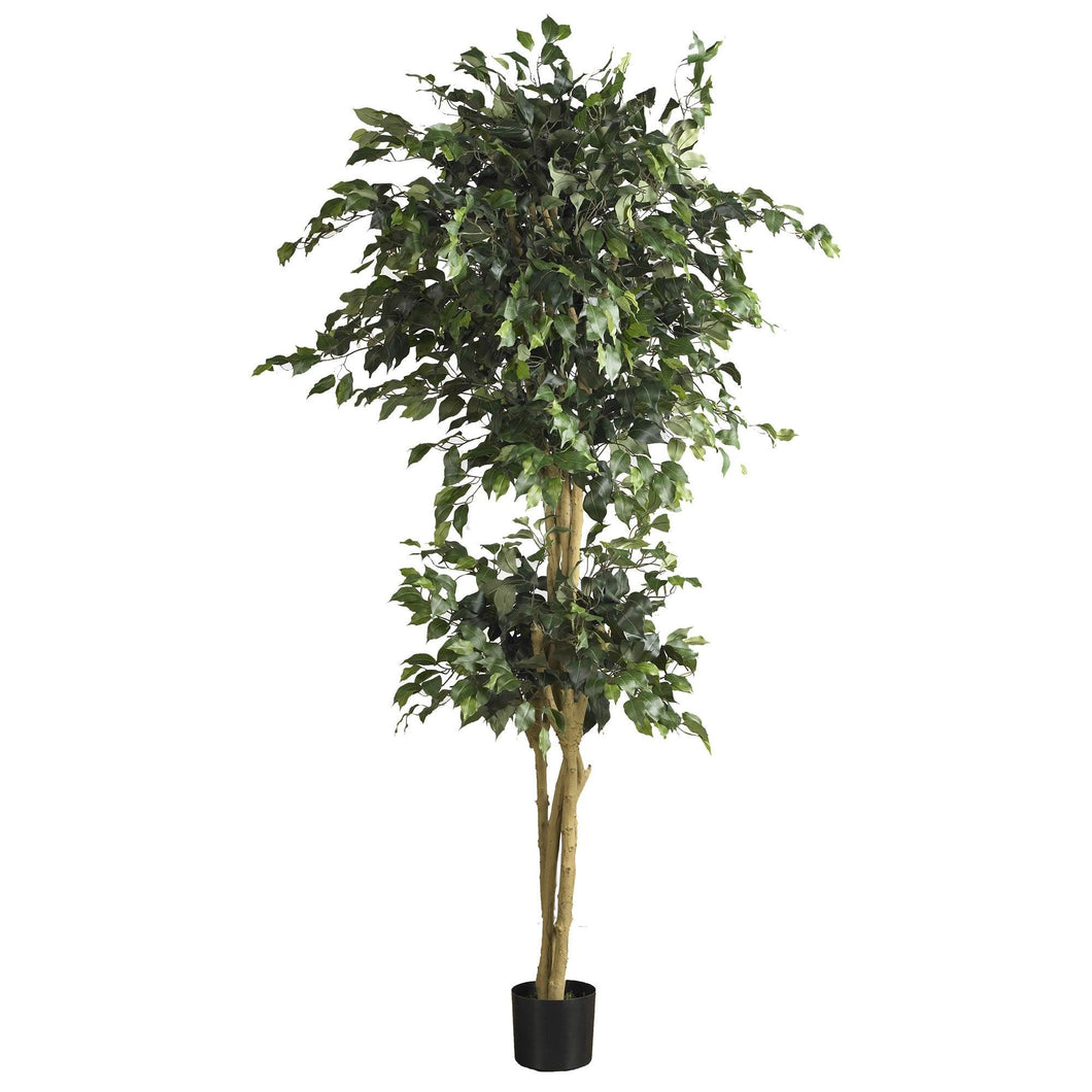 6' Double Ball Ficus Silk Tree - zzhomelifestyle