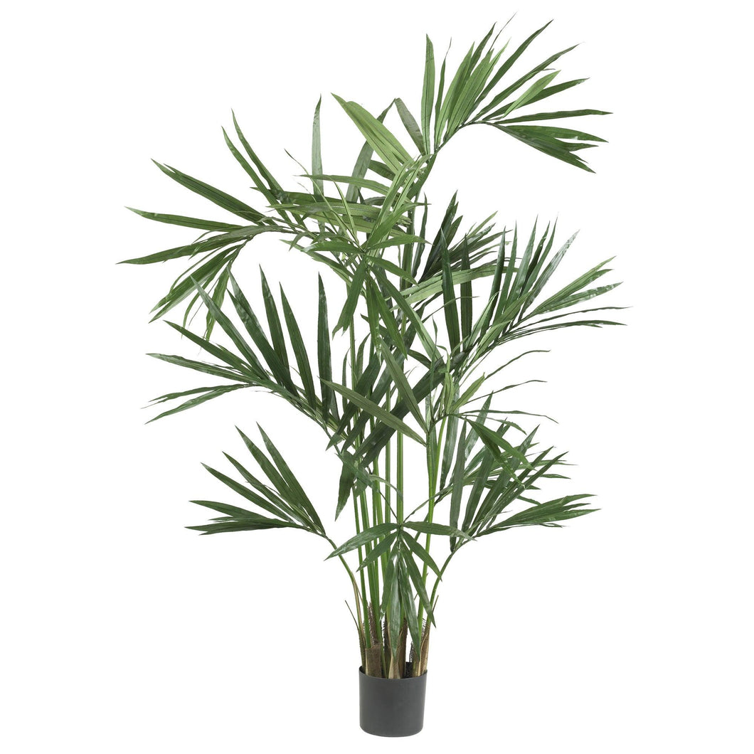 6' Kentia Palm Silk Tree - zzhomelifestyle
