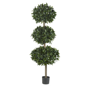 69" Sweet Bay Triple Ball Tree - zzhomelifestyle