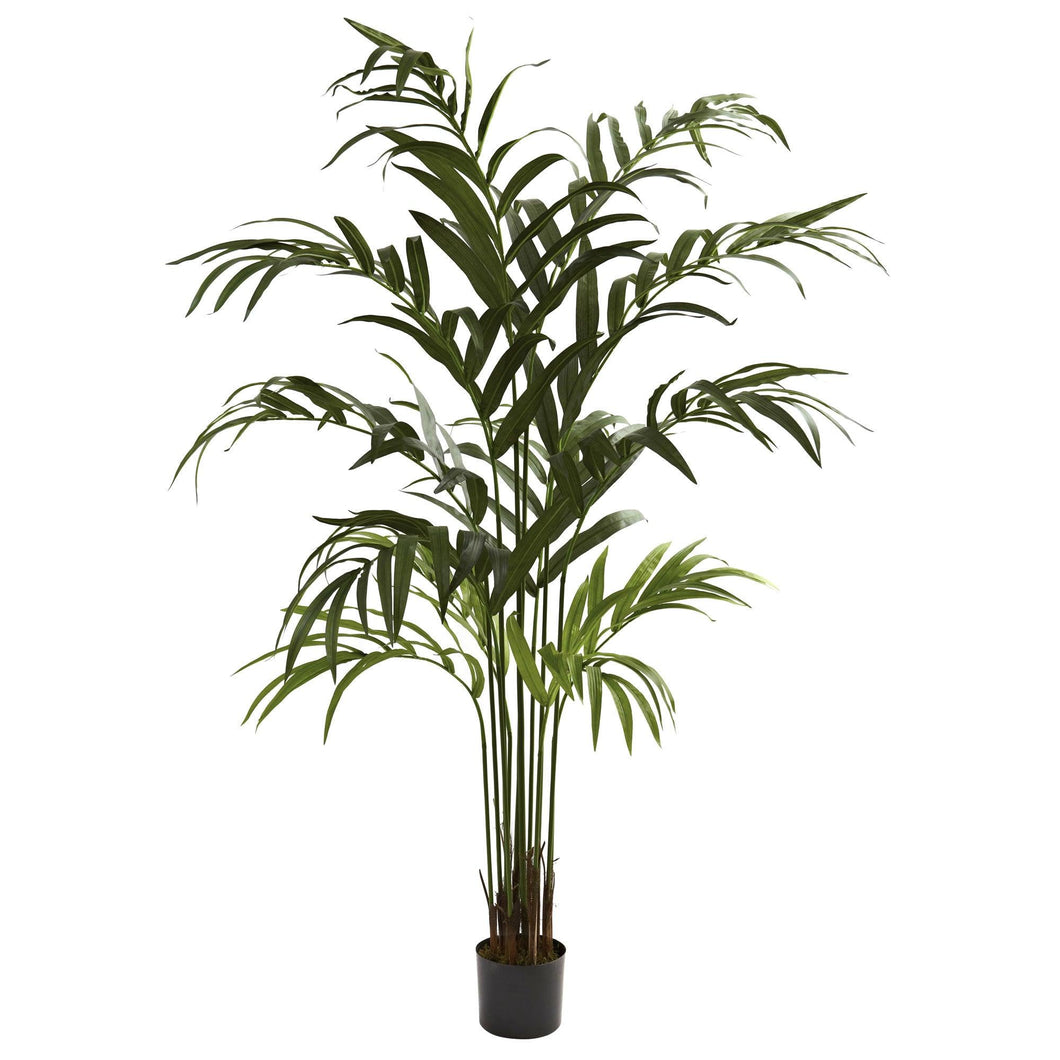 6' Kentia Palm Tree - zzhomelifestyle