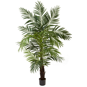 6' Areca Palm Tree - zzhomelifestyle