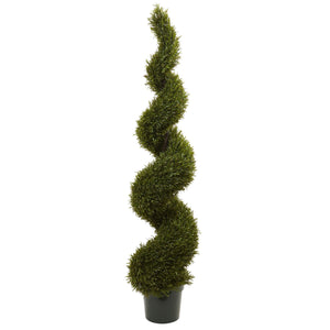 6' Rosemary Spiral Tree (Indoor/Outdoor) - zzhomelifestyle