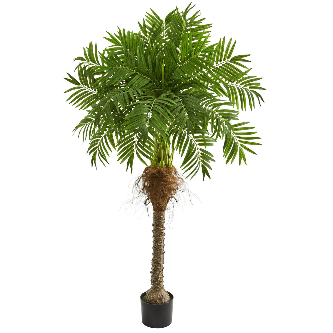 5.5' Robellini Palm Artificial Tree - zzhomelifestyle