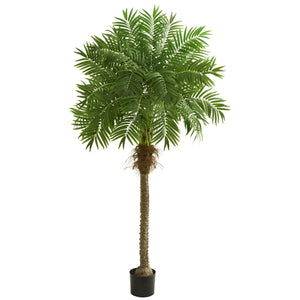 80" Robellini Palm Artificial Tree - zzhomelifestyle