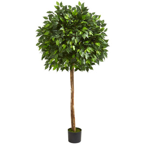 5.5' Ficus Artificial Tree - zzhomelifestyle