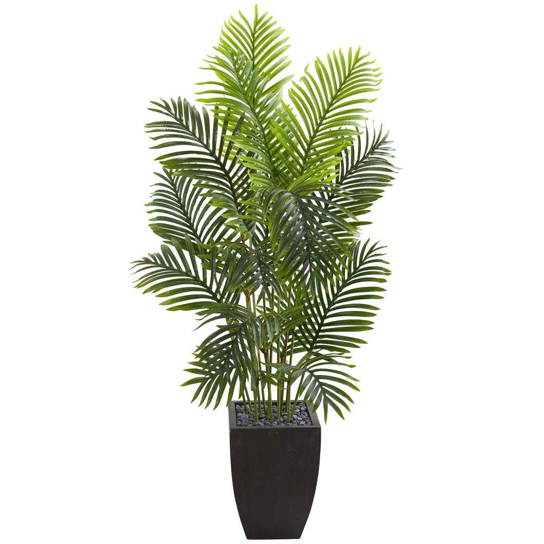 5.5' Paradise Palm Artificial Tree in Square Planter - zzhomelifestyle