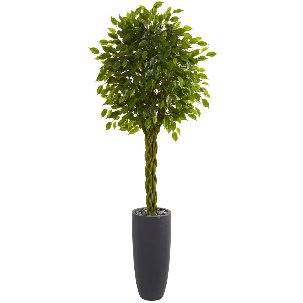 6.5' Braided Ficus Artificial Tree in Cylinder Planter UV Resistant (Indoor/Outdoor) - zzhomelifestyle