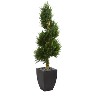 5.5' Cypress Spiral Artificial Tree in Black Wash Planter UV Resistant (Indoor/Outdoor) - zzhomelifestyle