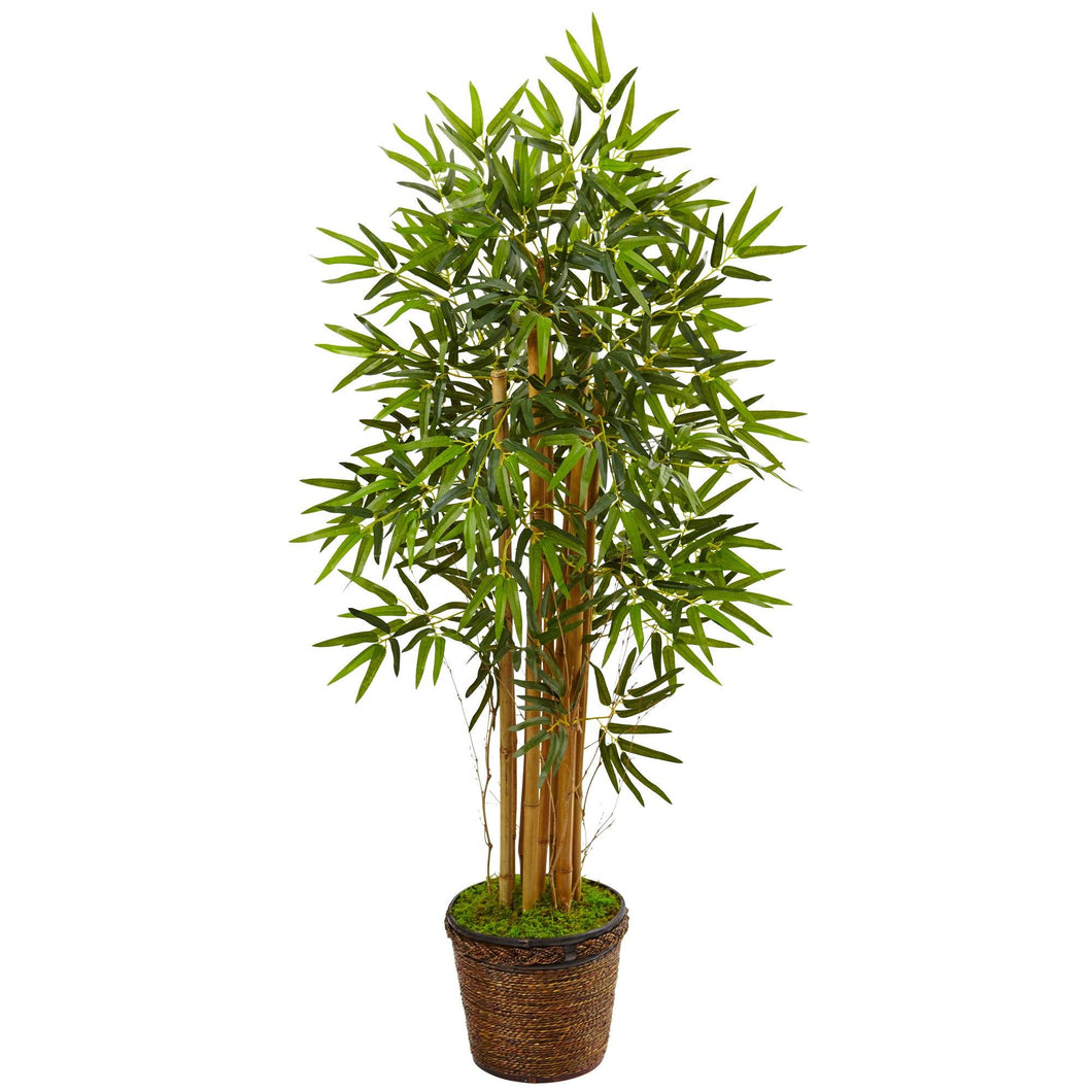 4.5' Bamboo Tree in Coiled Rope Planter - zzhomelifestyle