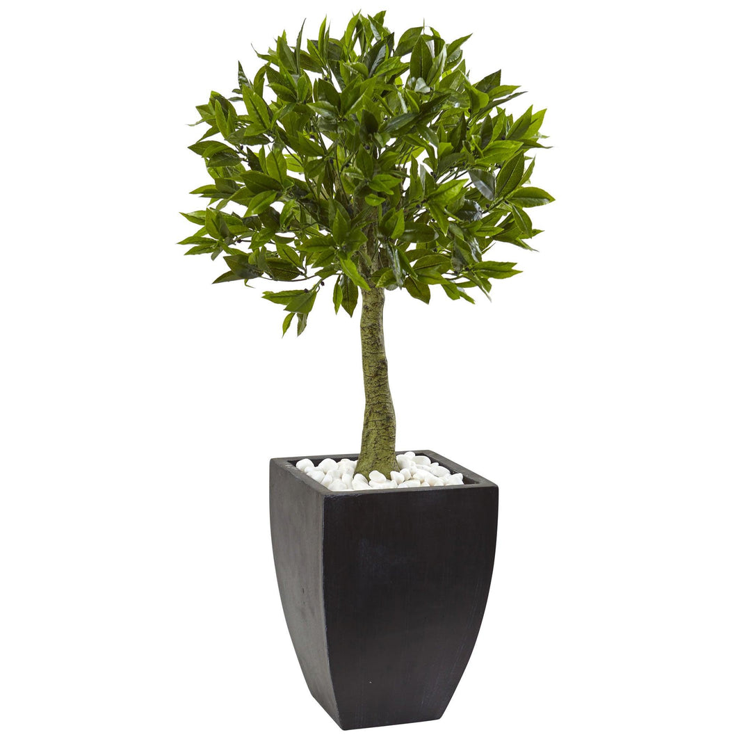 Bay Leaf Topiary with Black Wash Planter UV Resistant (Indoor/Outdoor) - zzhomelifestyle