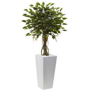 Ficus Tree with White Planter UV Resistant (Indoor/Outdoor) - zzhomelifestyle