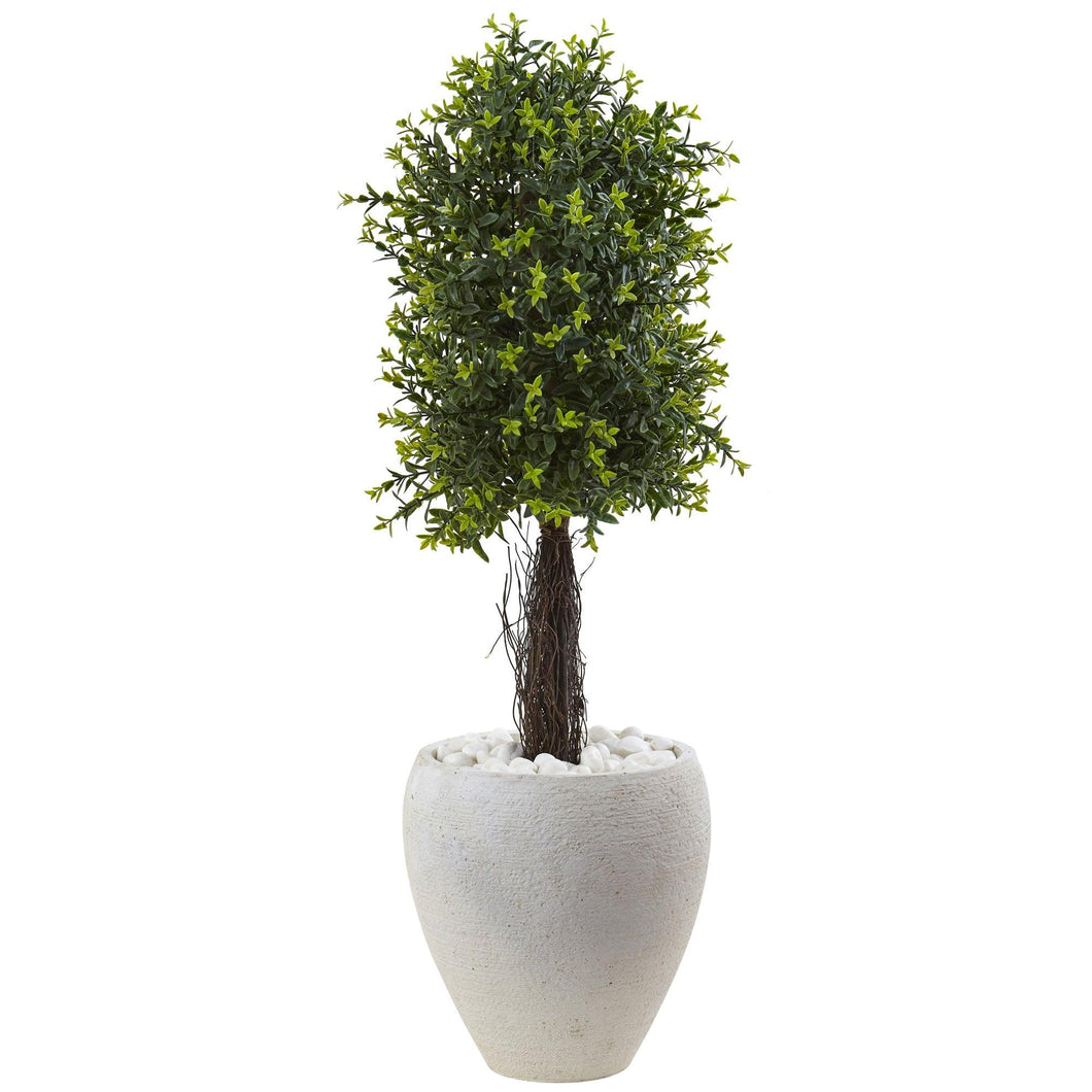 Ixora Topiary with White Planter UV Resistant (Indoor/Outdoor) - zzhomelifestyle