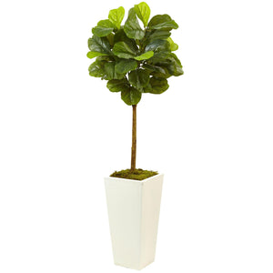 4.5' Fiddle Leaf Fig in White Planter (Real Touch) - zzhomelifestyle