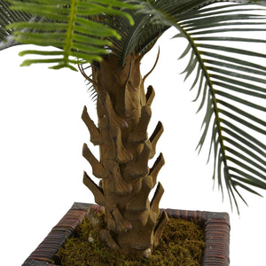 3' Cycas Tree in Wood Planter - zzhomelifestyle