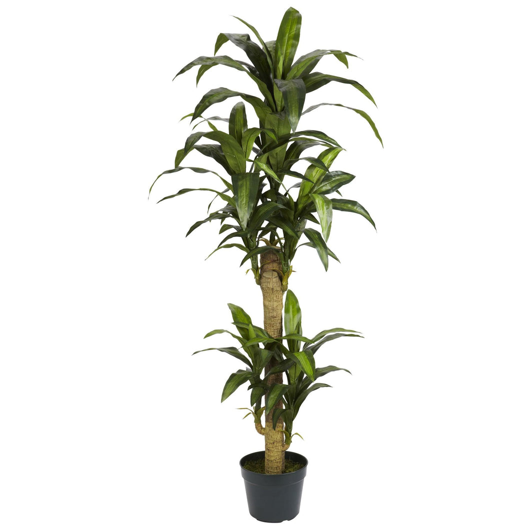 5' Yucca Silk Plant - zzhomelifestyle