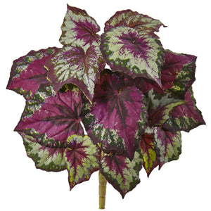 Wax Begonia Bush (Set of 6) - zzhomelifestyle
