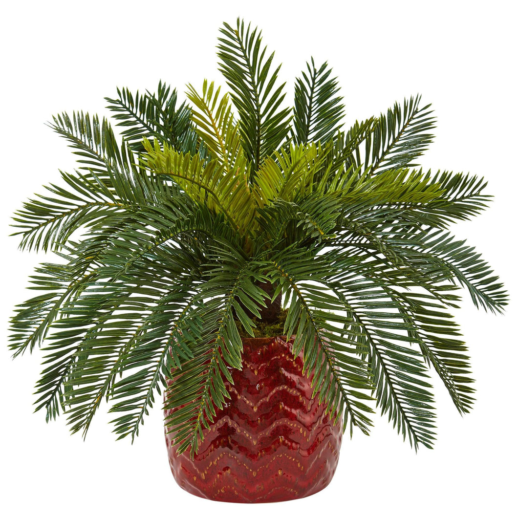 Cycas in Red Ceramic Planter - zzhomelifestyle