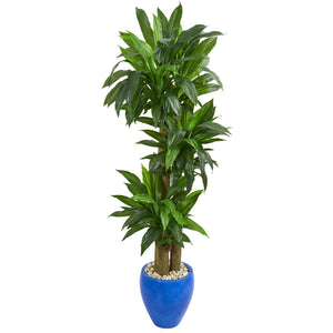 6' Cornstalk Dracaena Artificial Plant in Blue Planter (Real Touch) - zzhomelifestyle