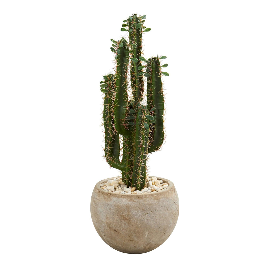 2.5' Cactus Artificial Plant in Bowl Planter - zzhomelifestyle